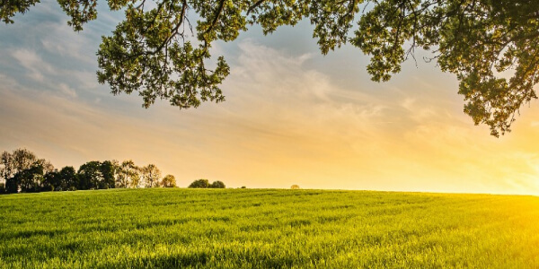 paysage champetre soleil